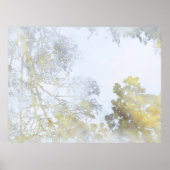 Broadleaf trees reflected On Water Wallpaper Poster (Voorkant)