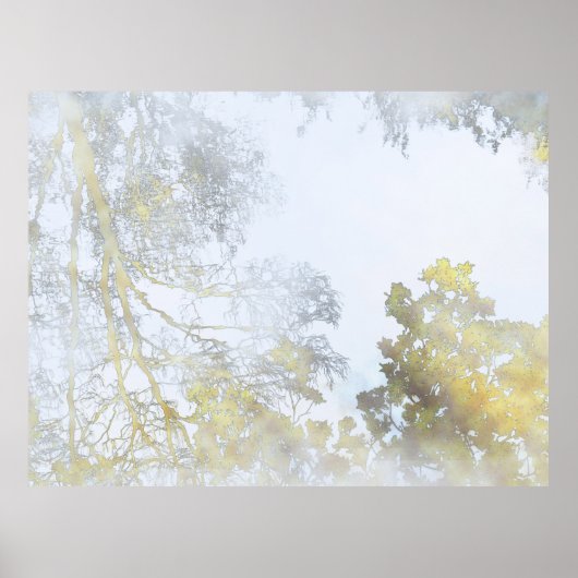 Broadleaf trees reflected On Water Wallpaper Poster (Voorkant)