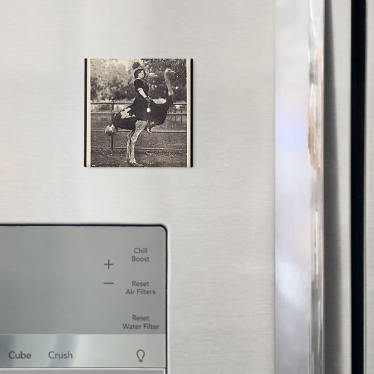  Broadway Actress Ridt een struisvogel uit Magneet (Insitu (Koelkast))