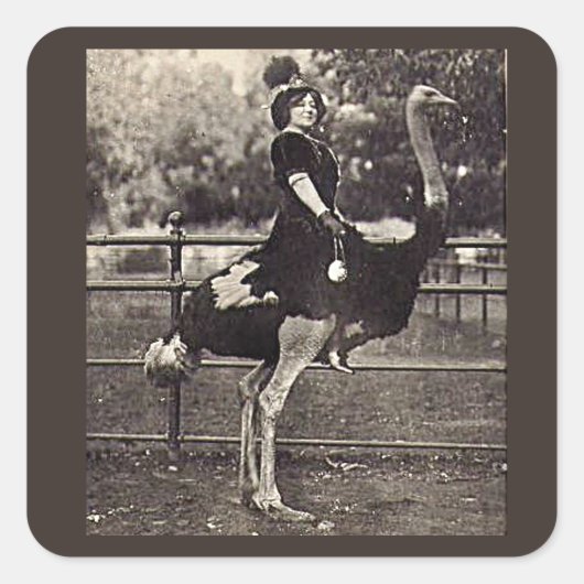 Broadway Actress Ridt een struisvogel uit Vierkante Sticker (Voorkant)