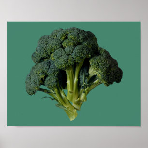 Broccoli 14-inch x 11-inch, Value-Poster papier (M Poster