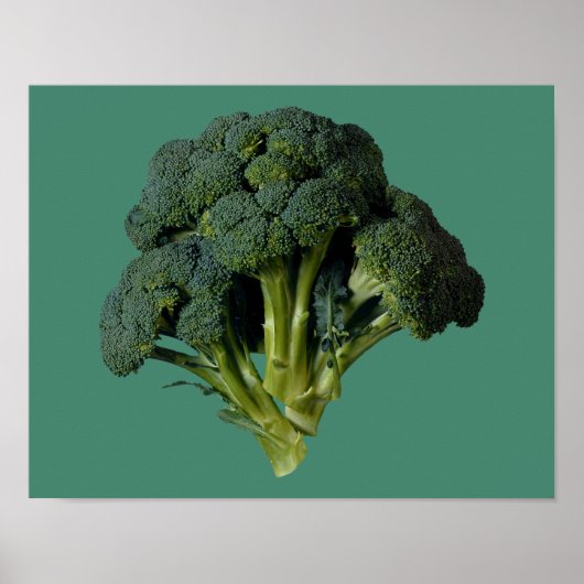 Broccoli 14-inch x 11-inch, Value-Poster papier (M Poster (Voorkant)