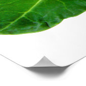 Broccoli 28 x 20 inch, Value Poster Paper (Matte) (Hoek)