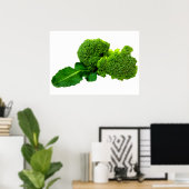 Broccoli 28 x 20 inch, Value Poster Paper (Matte) (Thuiskantoor)