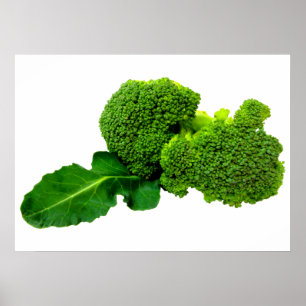 Broccoli 28 x 20 inch, Value Poster Paper (Matte)