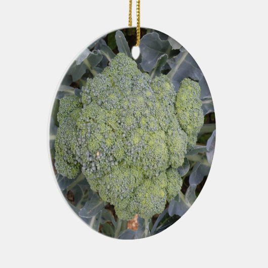 Broccoli - Aangepaste verjaardag Keramisch Ornament (Rechts)
