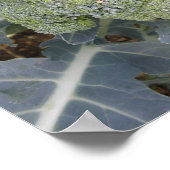 Broccoli afdrukken poster (Hoek)