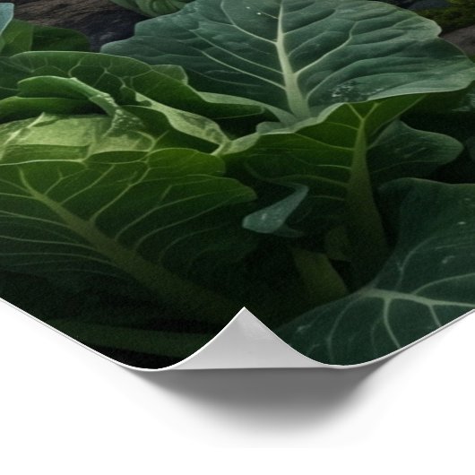 Broccoli Beertuin Poster (Hoek)