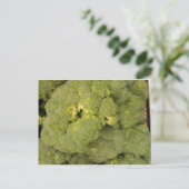 Broccoli Briefkaart (Staand voorkant)