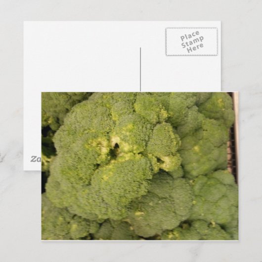 Broccoli Briefkaart (Voorkant / Achterkant)