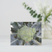 Broccoli-Briefkaart Briefkaart (Staand voorkant)