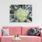 Broccoli Canvas afdrukken (Insitu (Woonkamer))
