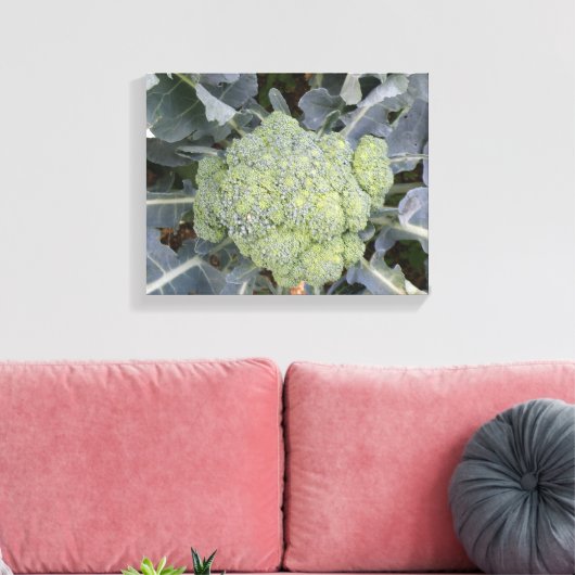 Broccoli Canvasprint Canvas Afdruk (Insitu (Woonkamer))