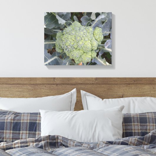 Broccoli Canvasprint Canvas Afdruk (Insitu (Slaapkamer))