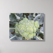 Broccoli Canvasprint Canvas Afdruk (Voorkant)