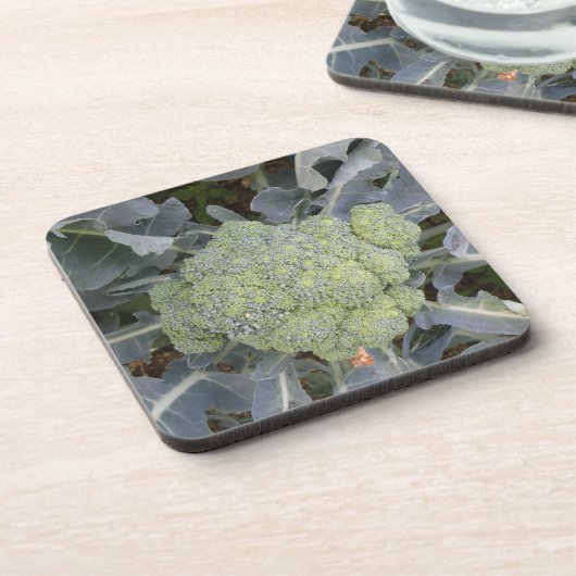 Broccoli Cork Onderzetter (Linkerzijde)