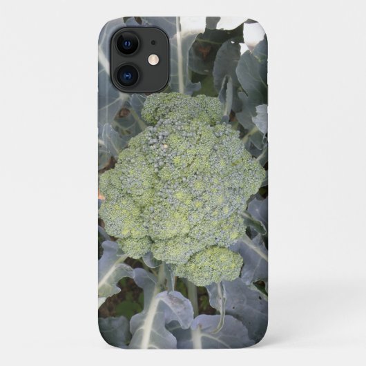 Broccoli i iPhone 3 Case (Achterkant)