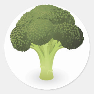 Broccoli illustratie ronde sticker