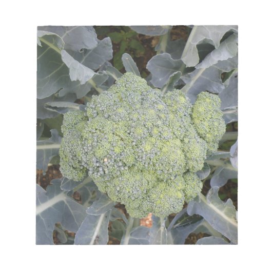 Broccoli-laptop Notitieblok (Voorkant)