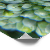 Broccoli Macro Afdrukken Poster (Hoek)