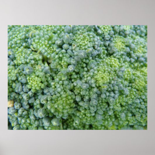 Broccoli Macro Afdrukken Poster (Voorkant)