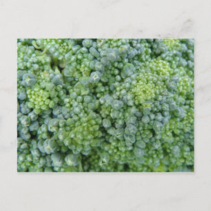 Broccoli Macro Briefkaart