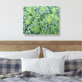 Broccoli Macro Canvasprint Canvas Afdruk (Insitu (Slaapkamer))