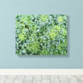 Broccoli Macro Canvasprint Canvas Afdruk (Insitu (Houten vloer))