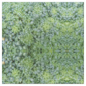 Broccoli Macro Patroon Stof (Close Up)