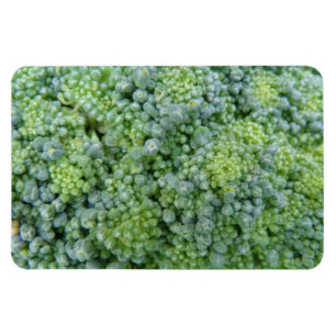 Broccoli Macro Premium magneet