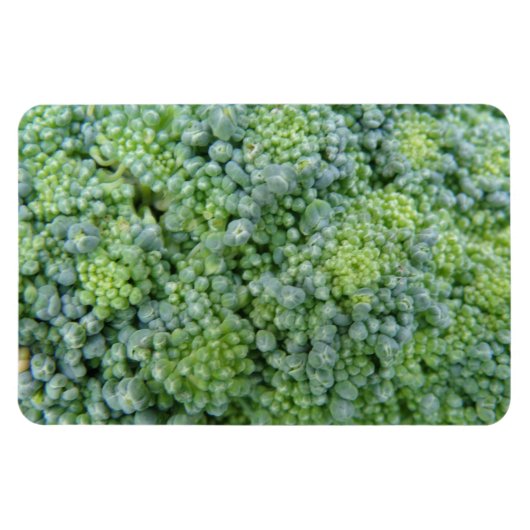 Broccoli Macro Premium magneet (Horizontaal)