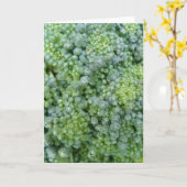 Broccoli Macro Wenskaart Kaart (Gele Bloem)