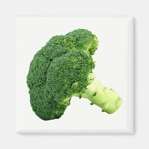 Broccoli Magneet