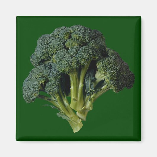 Broccoli Magneet (Voorkant)