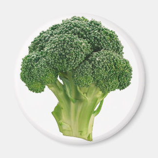 Broccoli Magneet