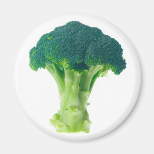 Broccoli Magneet