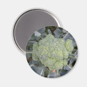 Broccoli Magnet (Voorkant / Achterkant)