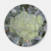 Broccoli Magnet (Voorkant)