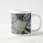 Broccoli-Mok Grote Koffiekop (Rechts)