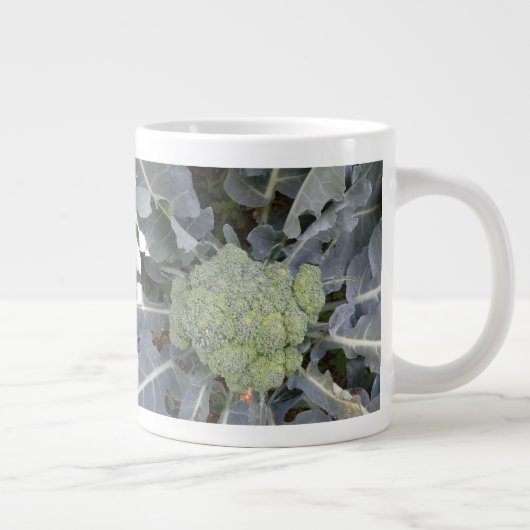 Broccoli-Mok Grote Koffiekop (Rechts)