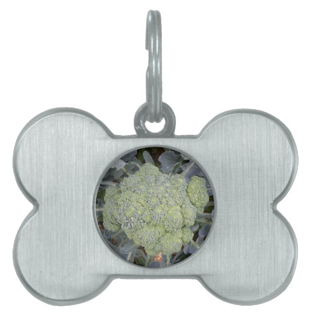 Broccoli Pet Tag Huisdieren Naamplaatje (voorkant)