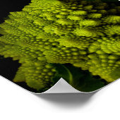 Broccoli Poster (Hoek)