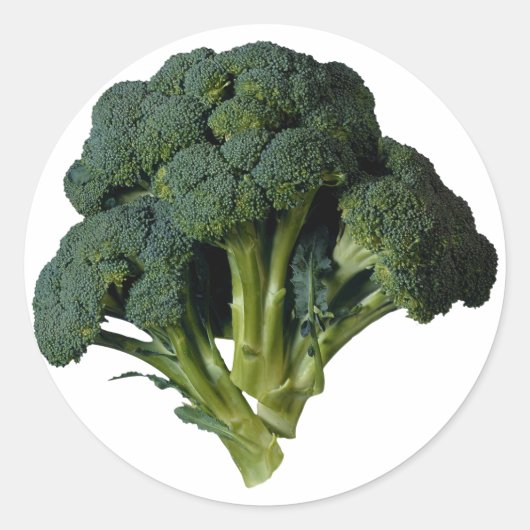 Broccoli Ronde Sticker (Voorkant)