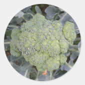 Broccoli Stickers (Voorkant)