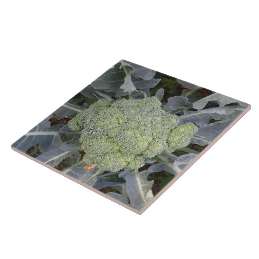 Broccoli Tile Tegeltje (Zijkant)