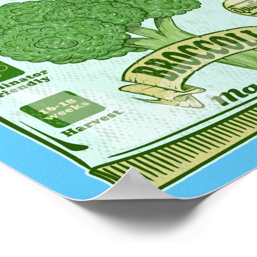 Broccoli Zaden Groenten telen Poster (Hoek)