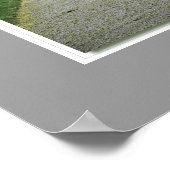 Brockville King Street East Lila Struiken Poster (Hoek)