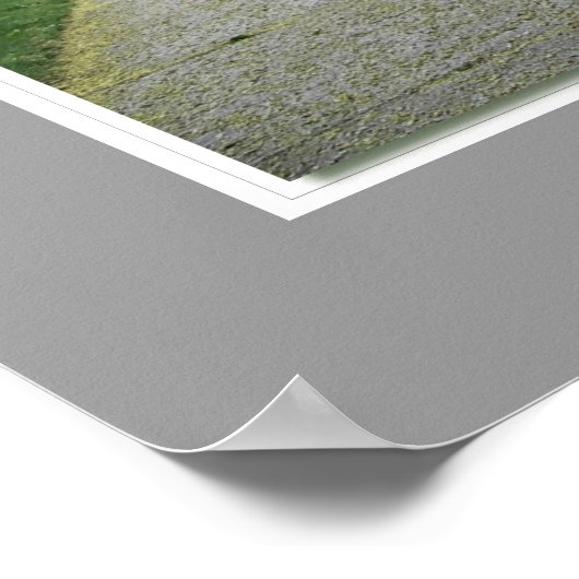 Brockville King Street East Lila Struiken Poster (Hoek)