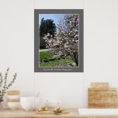 Brockville Ontario Magnolias Poster (Keuken)