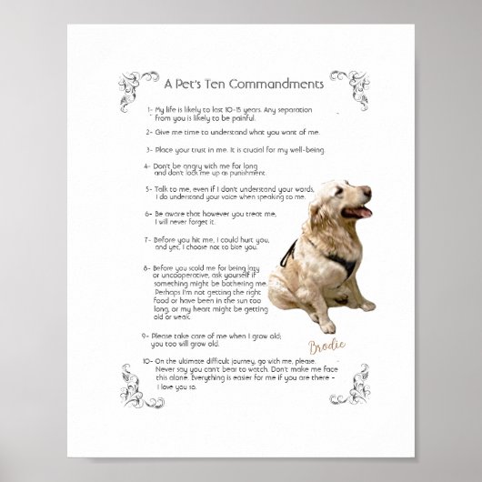 BRODIE - POSTER (Voorkant)